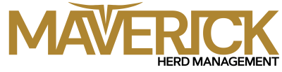 Maverick Herd Management